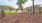 a dirt yard with a gazebo